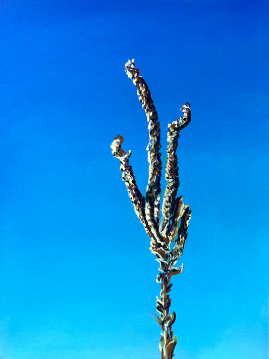 Winter Blues: Withstand