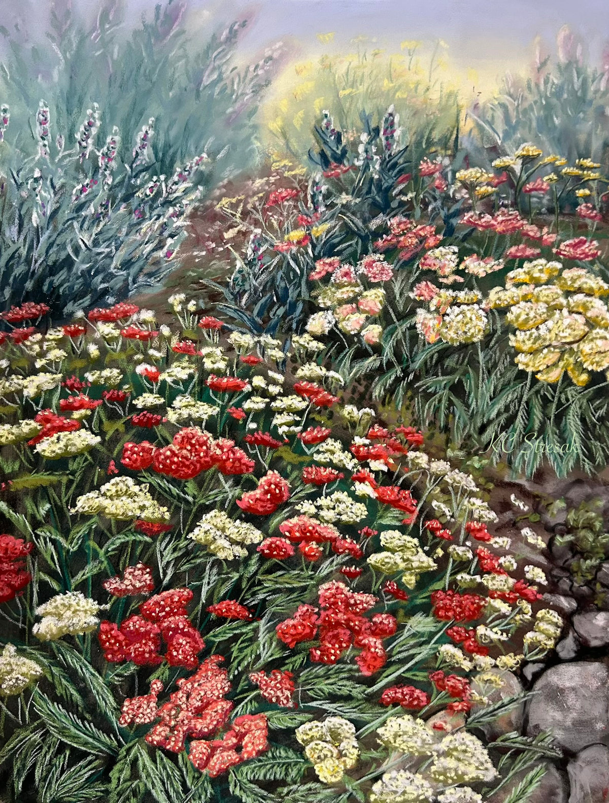My neighbor’s garden