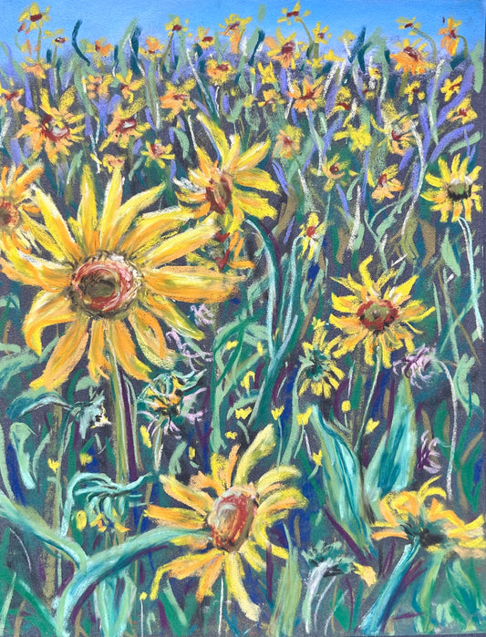 Mountain sunflowers